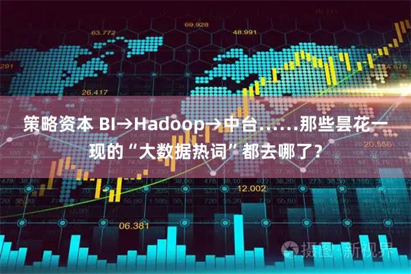 策略资本 BI→Hadoop→中台……那些昙花一现的“大数据热词”都去哪了？