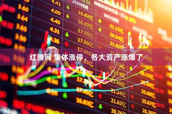 红腾网 集体涨停，各大资产涨爆了