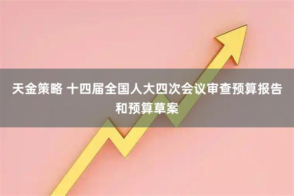 天金策略 十四届全国人大四次会议审查预算报告和预算草案