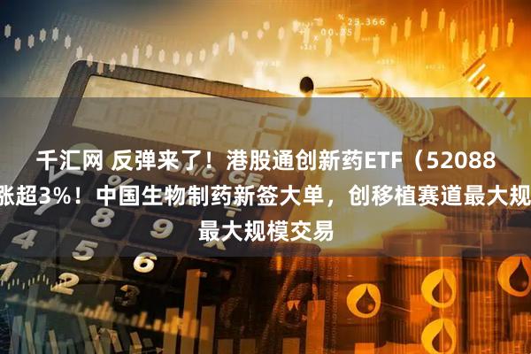 千汇网 反弹来了！港股通创新药ETF（520880）大涨超3%！中国生物制药新签大单，创移植赛道最大规模交易