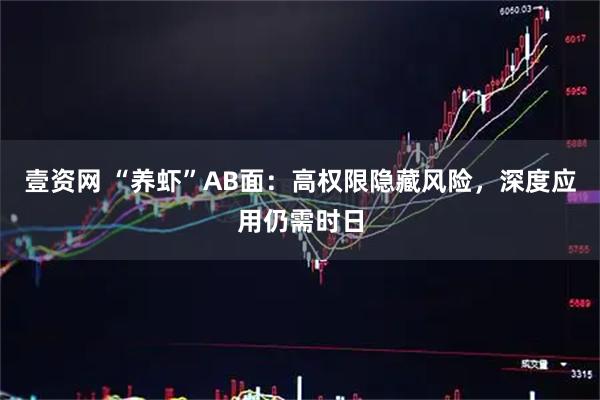 壹资网 “养虾”AB面：高权限隐藏风险，深度应用仍需时日