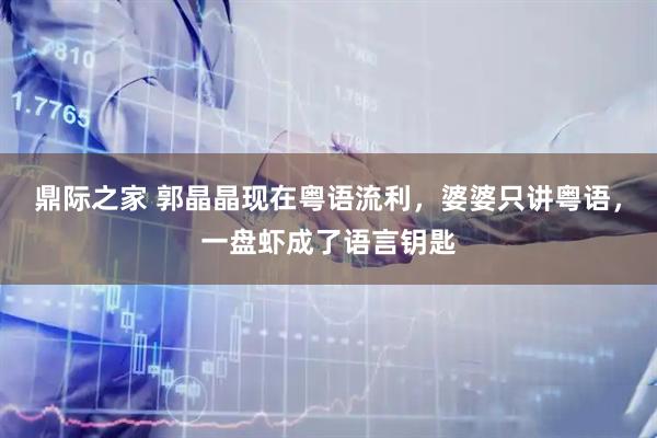 鼎际之家 郭晶晶现在粤语流利，婆婆只讲粤语，一盘虾成了语言钥匙