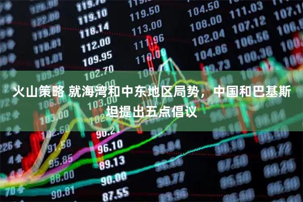 火山策略 就海湾和中东地区局势，中国和巴基斯坦提出五点倡议