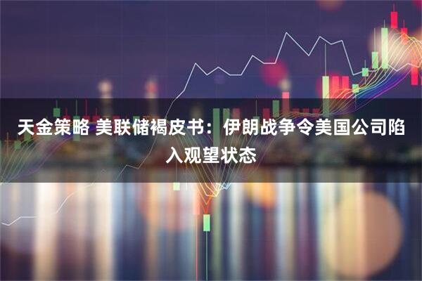 天金策略 美联储褐皮书：伊朗战争令美国公司陷入观望状态