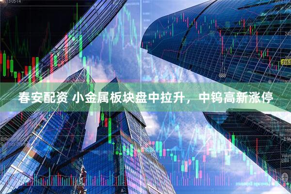 春安配资 小金属板块盘中拉升，中钨高新涨停
