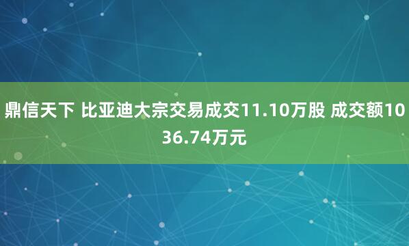 鼎信天下 比亚迪大宗交易成交11.10万股 成交额1036.74万元