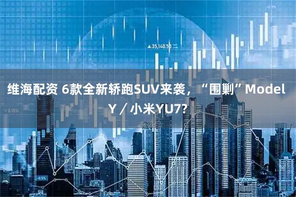 维海配资 6款全新轿跑SUV来袭,“围剿”Model Y/小米YU7?