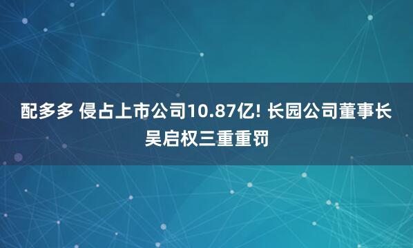 配多多 侵占上市公司10.87亿! 长园公司董事长吴启权三重重罚