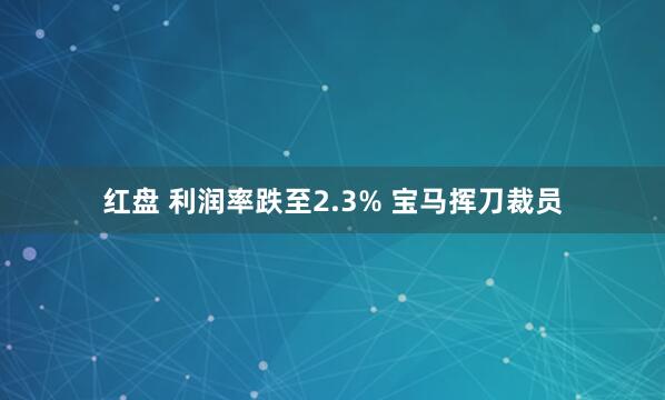 红盘 利润率跌至2.3% 宝马挥刀裁员