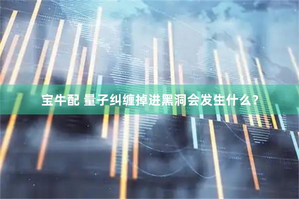宝牛配 量子纠缠掉进黑洞会发生什么？