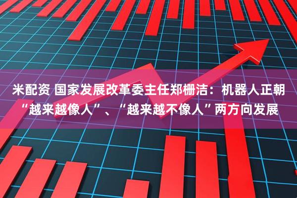 米配资 国家发展改革委主任郑栅洁：机器人正朝“越来越像人”、“越来越不像人”两方向发展