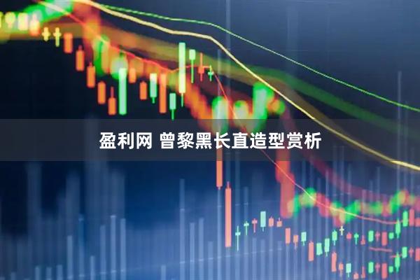 盈利网 曾黎黑长直造型赏析